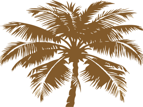 palm tree silhouette  transparent background png file.
