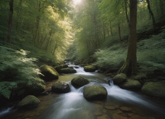 Obraz premium A tranquil stream gently flowing through a lush green forest, creating a peaceful atmosphere