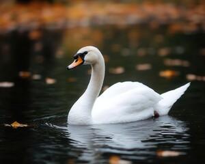 Obraz premium Swan in a witch s outfit gliding over an enchanted pond, Swan in witch costume, water magic, graceful spellcaster