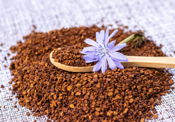 Ground chicory root on a wooden spoon and chicory flowers on a rustic wooden background. Alternative medicine. Healthy drinks. chicory drink