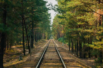 A railway through a pine forest in summer, background
