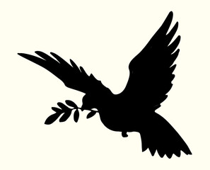 Vector drawing. Cute flying dove