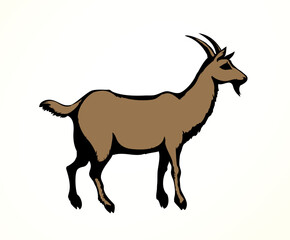 Big white goat. Vector animal