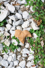 Seasons changing