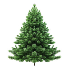 Lush Green Christmas Tree | Perfect for Holiday Decorations and Festive Setups