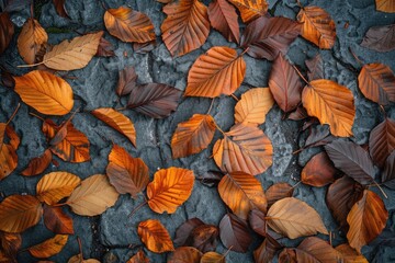 Fototapeta premium A pile of fallen leaves on the forest floor