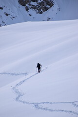 Cross country skier in snow