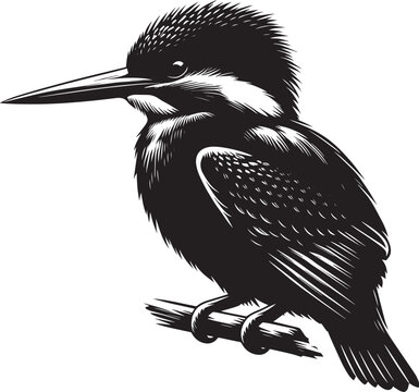 recommend clip art: Beautiful kingfisher bird flying Silhouette vector illustration isolated on a white background