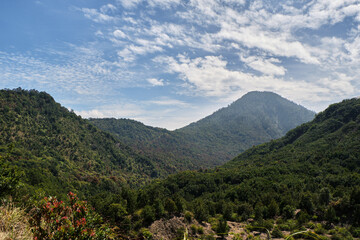 Mountain Peaks Rising Amid Verdant Forests