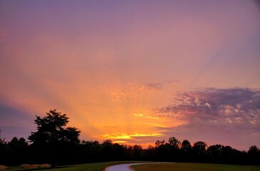 sunset over the field