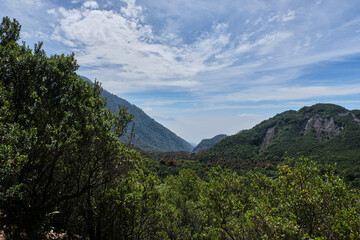 Fototapeta premium Mountain Peaks Rising Amid Verdant Forests
