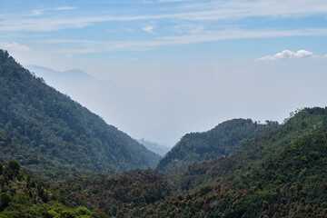 Mountain Peaks Rising Amid Verdant Forests