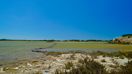 Riserva Naturale Salina Monaci, Torre Colimena,Taranto,Puglia,Italia