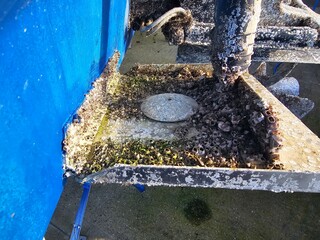 boat bits