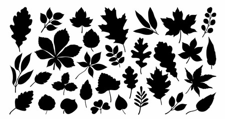 Collection of exotic leaves silhouettes. icon set. Vector illustration © Iconzone