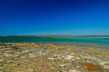 Torre Santo Stefano, vista dalla spiaggia, Salento,Lecce,Puglia,Italia
