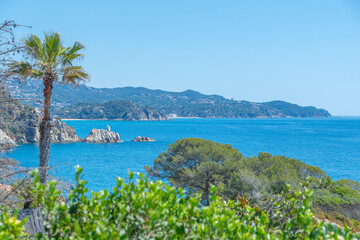 Fototapeta premium Vue de la mer depuis le Jardin botanique Marimurtra à Blanes, Costa Brava. Espagne.