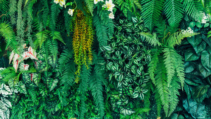 Close-up view of tropical green leaves showcasing their detailed texture, creating an abstract background.