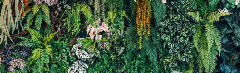 Close-up view of tropical green leaves showcasing their detailed texture, creating an abstract background.
