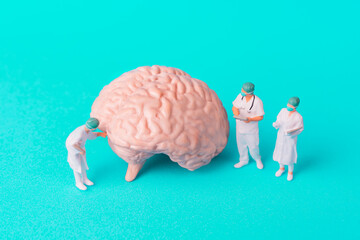 Team of Doctors Investigating a Brain Model
