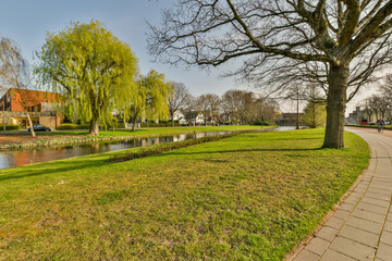 Idyllic park scene with willow trees by a pond