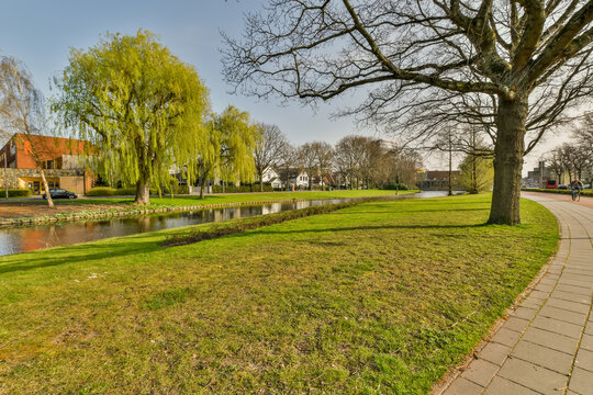 Idyllic park scene with willow trees by a pond