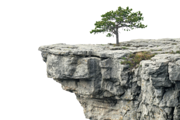 A lone tree standing resiliently on the edge of a rugged cliff, showcasing natural beauty and strength.