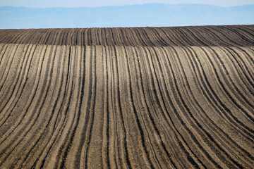 Plowed field,autumn season,agriculture,Voivodina,Serbia