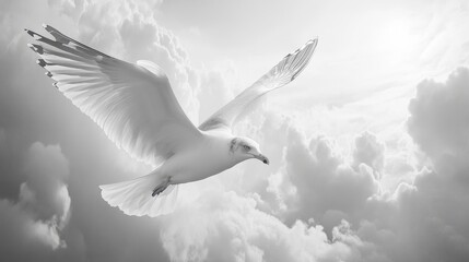 majestic soaring seagull gracefully gliding through the air above fluffy clouds in a stunning black and white image