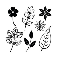 Set of wild flowers and leaves floral element Clipart isolated vector illustration