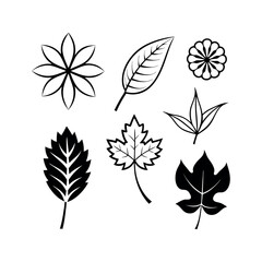 Set of wild flowers and leaves floral element Clipart isolated vector illustration