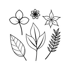 Set of wild flowers and leaves floral element Clipart isolated vector illustration