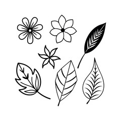 Set of wild flowers and leaves floral element Clipart isolated vector illustration