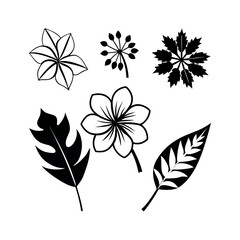 Set of wild flowers and leaves floral element Clipart isolated vector illustration