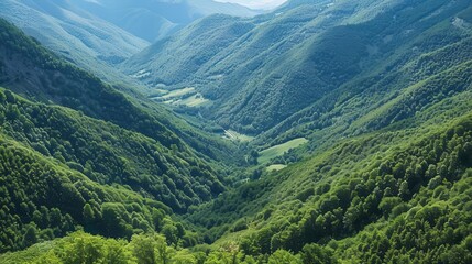 Fototapeta premium Lush valleys