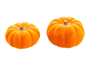 Fall harvest of pumpkins