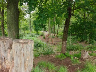 Modern outdoor area in the forest with a table, grilling spot, and relaxation space