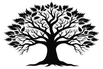 Obraz premium oak tree branches black silhouette G.eps