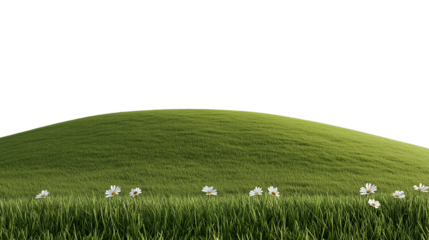 Rolling hills with daisies isolated on transparent background
