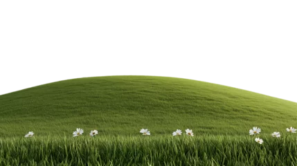 Rolling hills with daisies isolated on transparent background