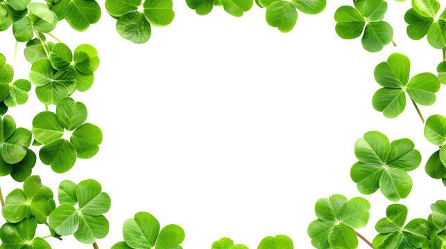 Clover frame, watercolor drawing on transparent background, isolated. Design for greeting card for St. Patrick's Day and other holidays, wedding invitation, etc.