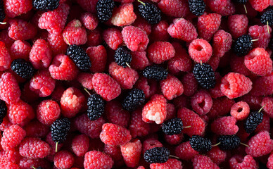 texture of black and red berries fresh fruit blueberries and raspberries