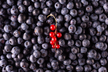 Red berries pattern isolated on a white background. Strawberries, blueberries, raspberries, red currant fruits. Creative fruit food concept. Flat lay texture