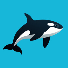 Creative orca fish vector design