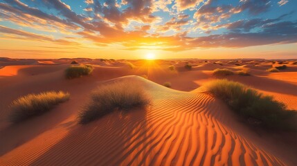 A serene desert landscape featuring rolling sand dunes and sparse vegetation under a vibrant sunset