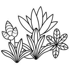 Plants and flower vector on white background
