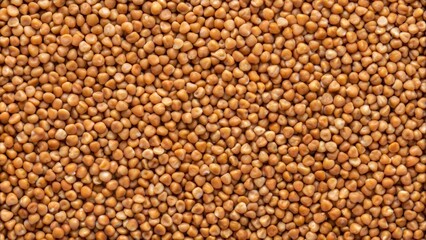 Fototapeta premium Buckwheat texture background close-up of raw grainsbuckwheat texture background close-up of raw grains