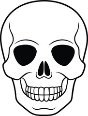 Realistic Skull Line Art Silhouette Vector Illustration