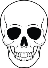 Fototapeta premium Realistic Skull Line Art Silhouette Vector Illustration