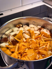 Vertical close-up photography composition of heap pile raw mushrooms chanterelle seasonal preparation boiling ingredient vegetable healthy lifestyles indoors kitchen freshness people homemade